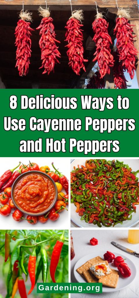 8 Delicious Ways to Use Cayenne Peppers and Hot Peppers pinterest image.
