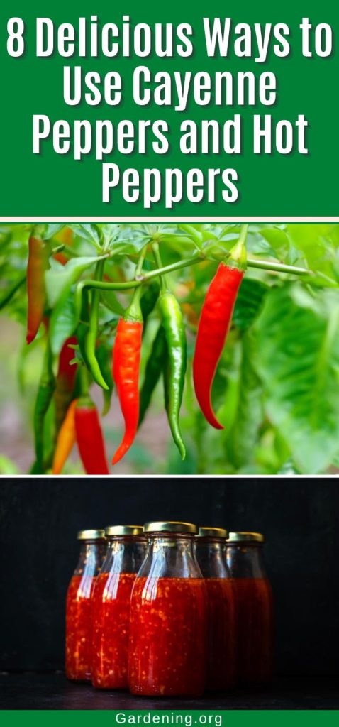 8 Delicious Ways to Use Cayenne Peppers and Hot Peppers pinterest image.