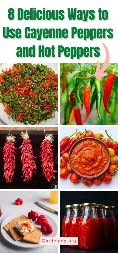 8 Delicious Ways to Use Cayenne Peppers and Hot Peppers pinterest image.