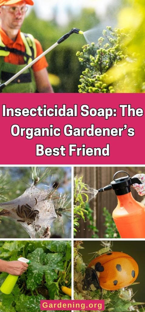 Insecticidal Soap: The Organic Gardener’s Best Friend pinterest image.