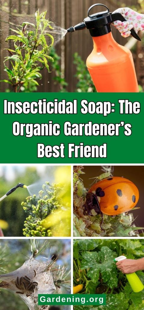 Insecticidal Soap: The Organic Gardener’s Best Friend pinterest image.