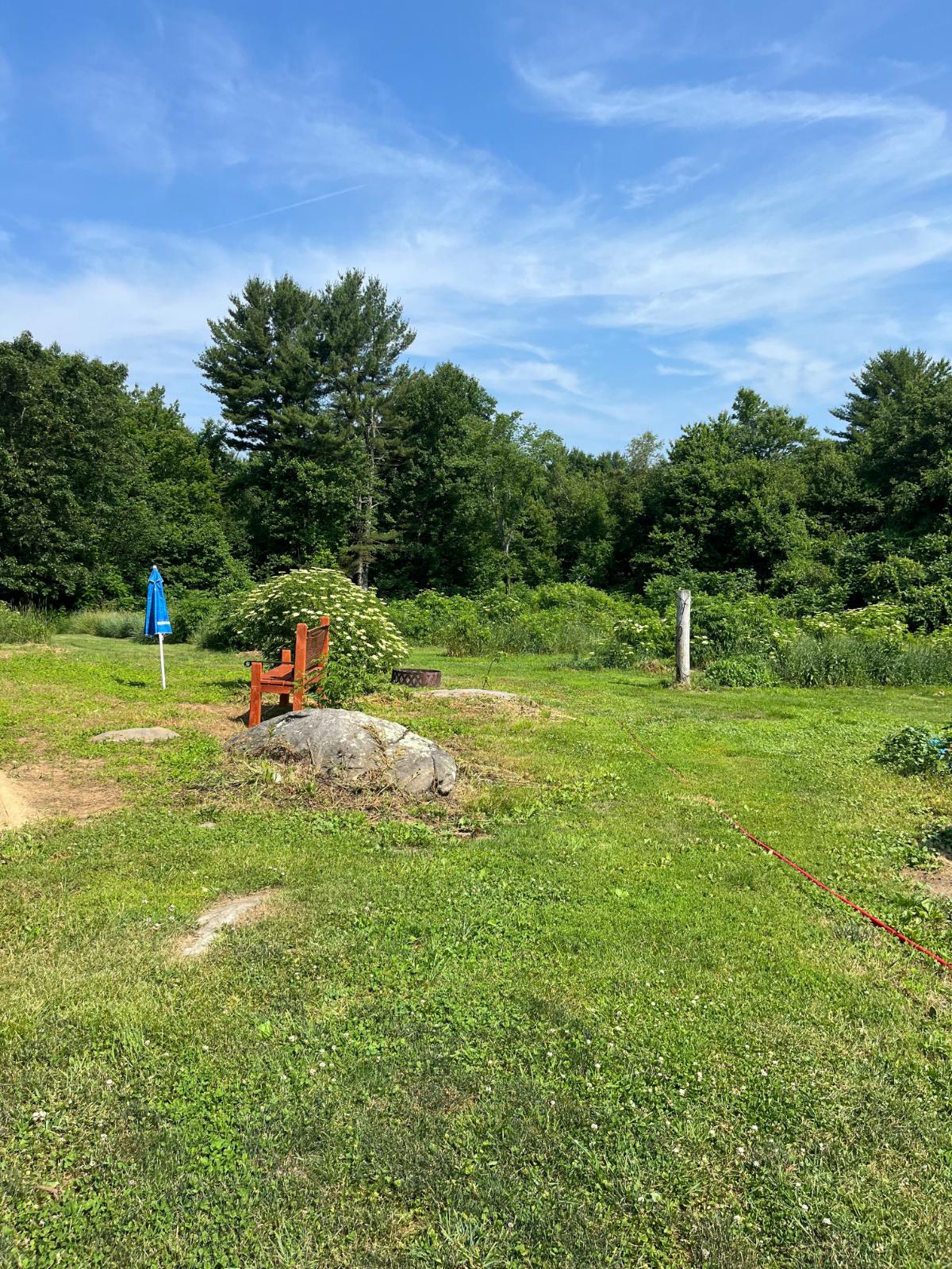 Mowed and maintained back yard