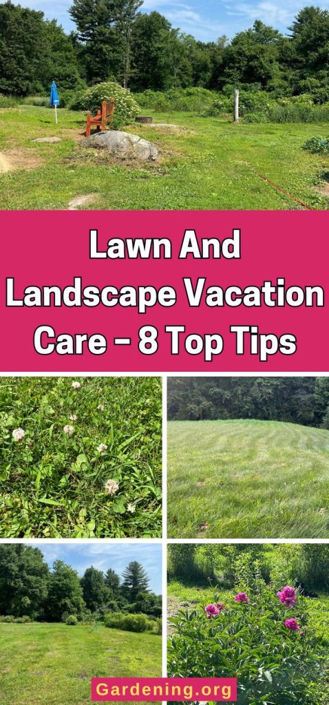 Lawn And Landscape Vacation Care – 8 Top Tips pinterest image.