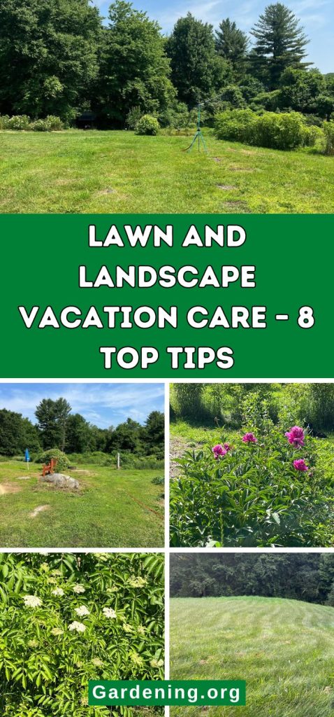 Lawn And Landscape Vacation Care – 8 Top Tips pinterest image.