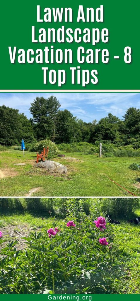 Lawn And Landscape Vacation Care – 8 Top Tips pinterest image.