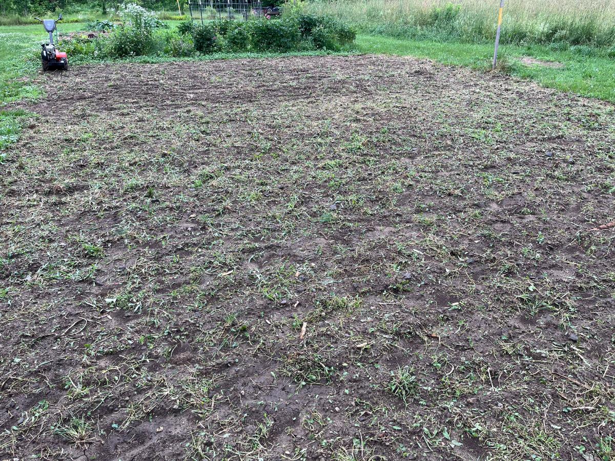 Tilling an area for a wildflower patch