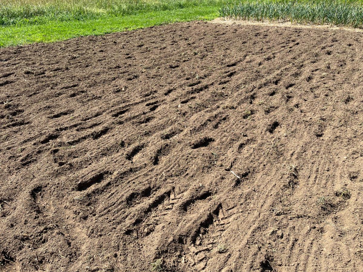 An area tilled for a wildflower patch