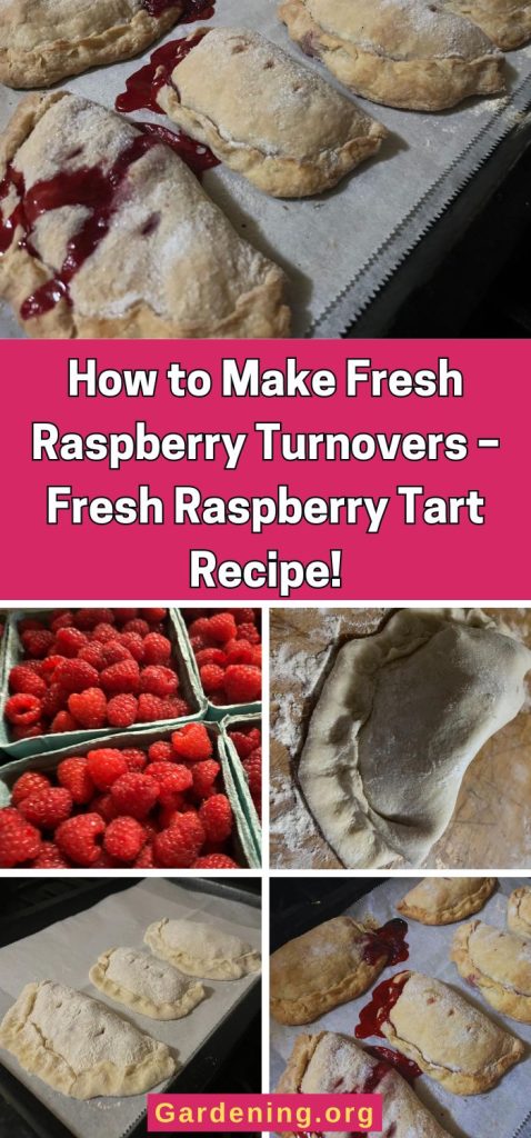 How to Make Fresh Raspberry Turnovers – Fresh Raspberry Tart Recipe! pinterest image.