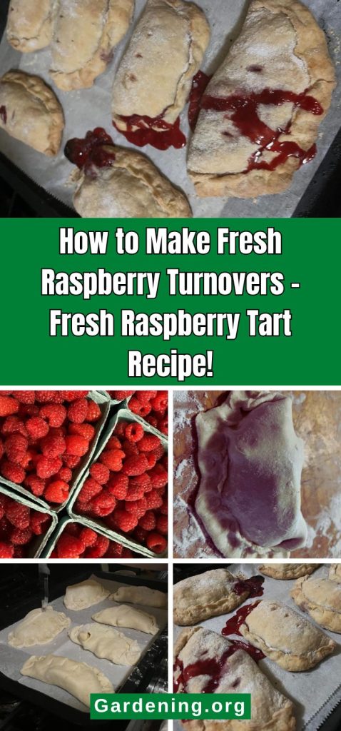 How to Make Fresh Raspberry Turnovers – Fresh Raspberry Tart Recipe!