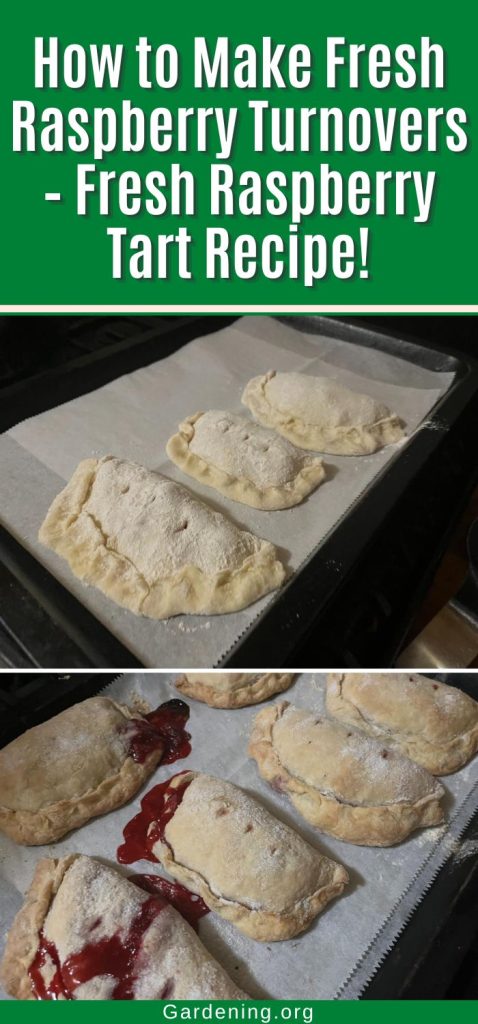 How to Make Fresh Raspberry Turnovers – Fresh Raspberry Tart Recipe! pinterest image.