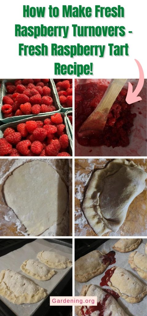 How to Make Fresh Raspberry Turnovers – Fresh Raspberry Tart Recipe! pinterest image.