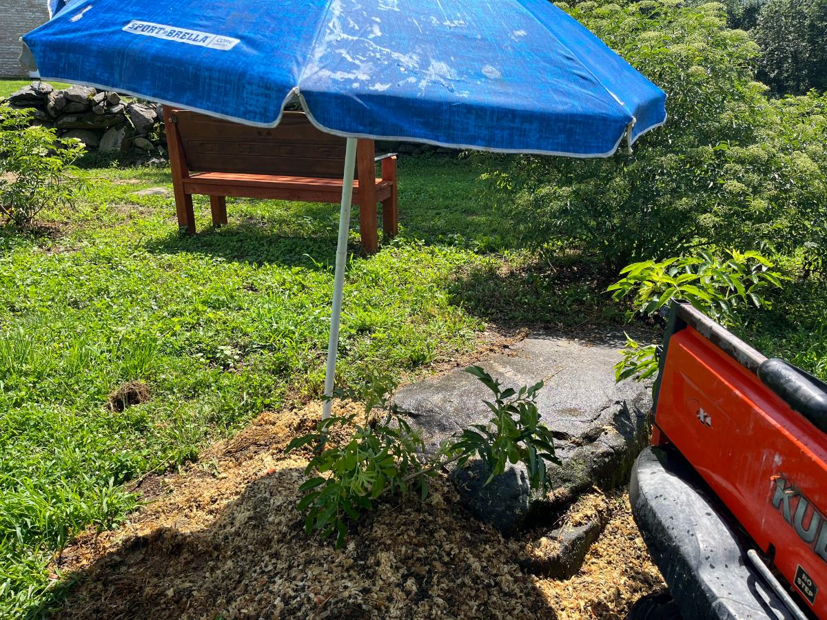 A beach umbrella used for shade