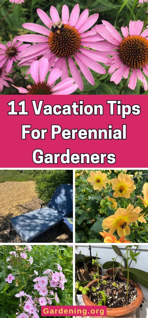 11 Vacation Tips For Perennial Gardeners pinterest image.