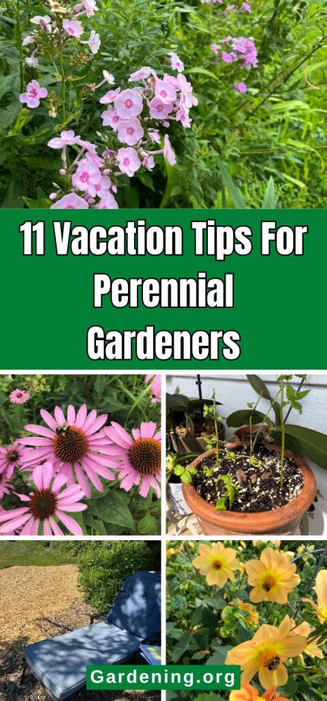 11 Vacation Tips For Perennial Gardeners pinterest image.