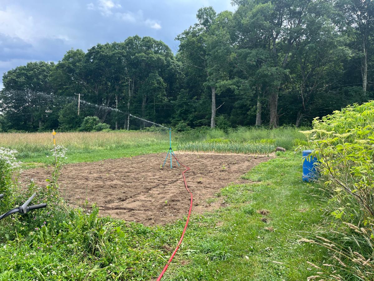 Watering a seeded patch of lawn