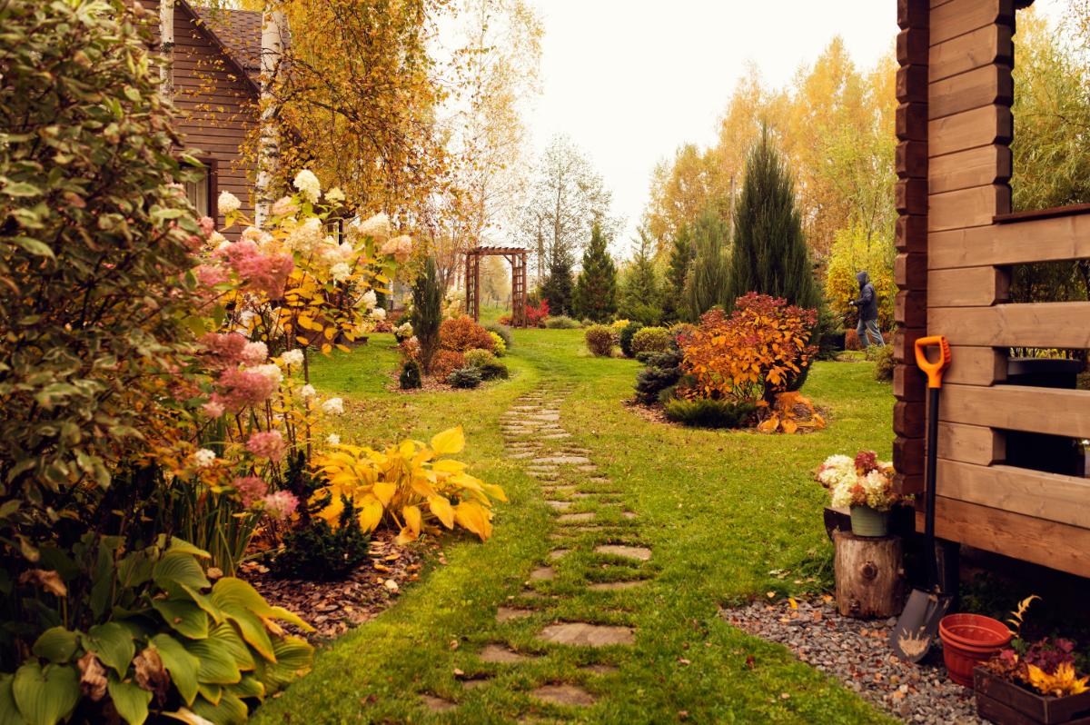 A nice garden in the fall