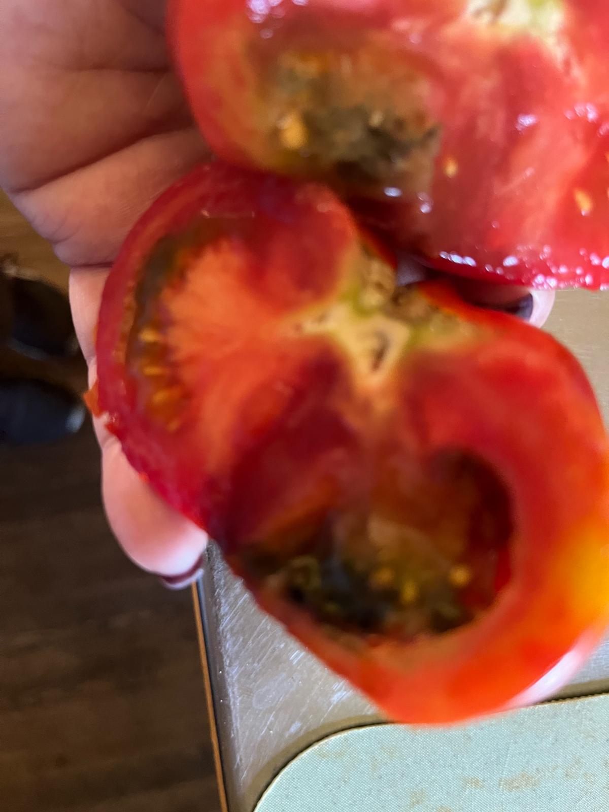 Interior of a tomato with blossom end rot