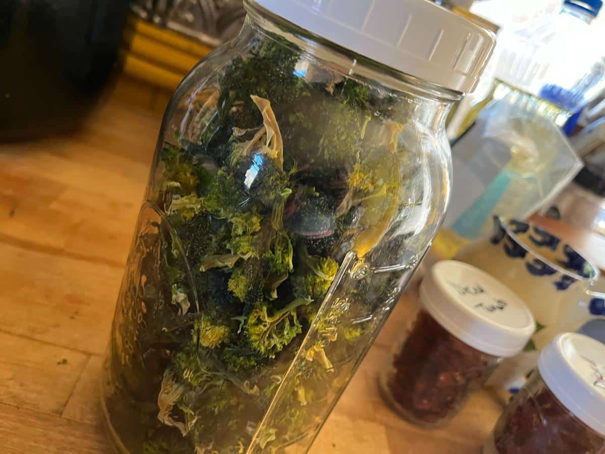 A jar of dehydrated homegrown broccoli