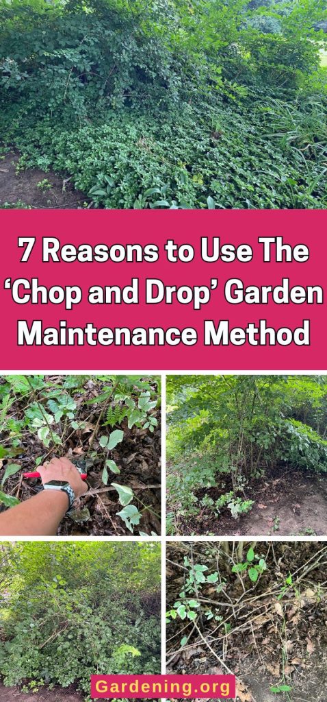 7 Reasons to Use The ‘Chop and Drop’ Garden Maintenance Method pinterest image.