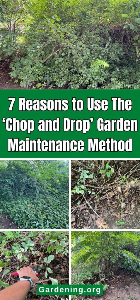 7 Reasons to Use The ‘Chop and Drop’ Garden Maintenance Method pinterest image.