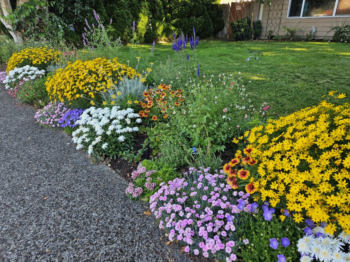 Flower garden with a planned color pallette