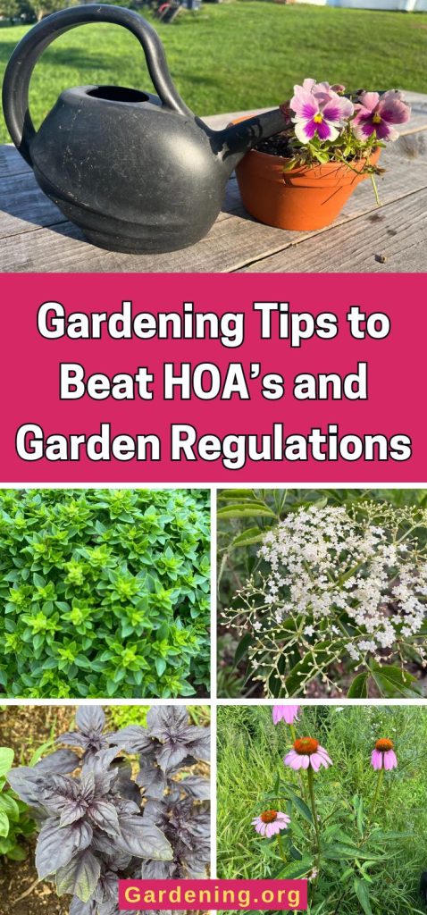 Gardening Tips to Beat HOA’s and Garden Regulations pinterest image.