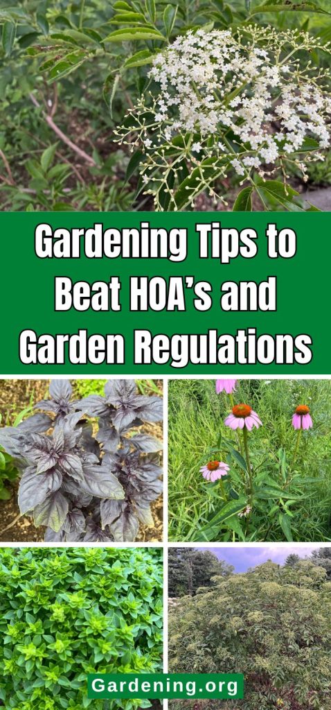 Gardening Tips to Beat HOA’s and Garden Regulations pinterest image.