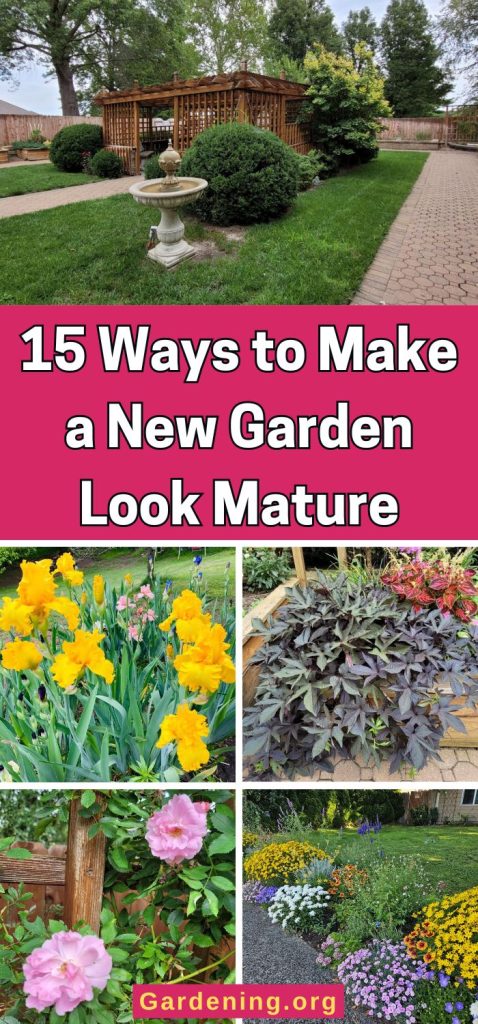 15 Ways to Make a New Garden Look Mature: Make Your New Landscape Look Like It’s Been Growing for a Long Time pinterest image.