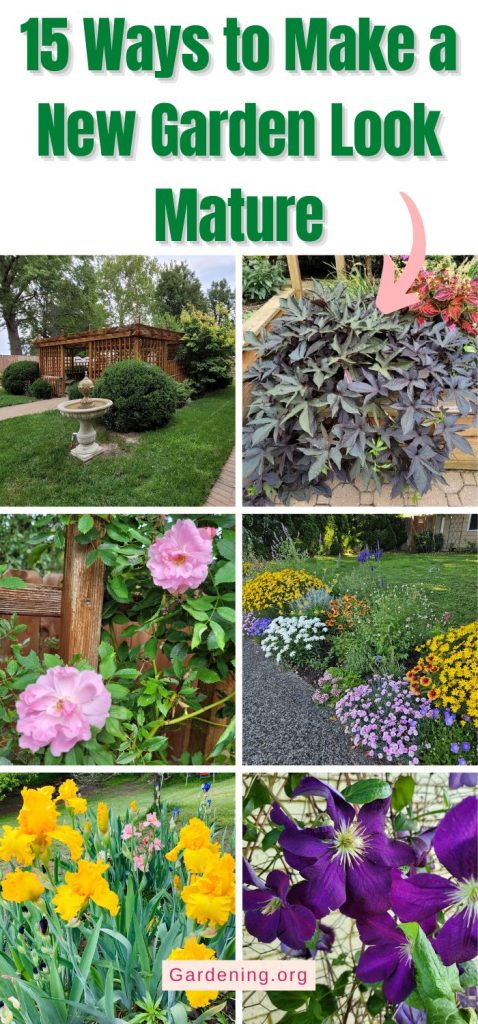 15 Ways to Make a New Garden Look Mature: Make Your New Landscape Look Like It’s Been Growing for a Long Time pinterest image.