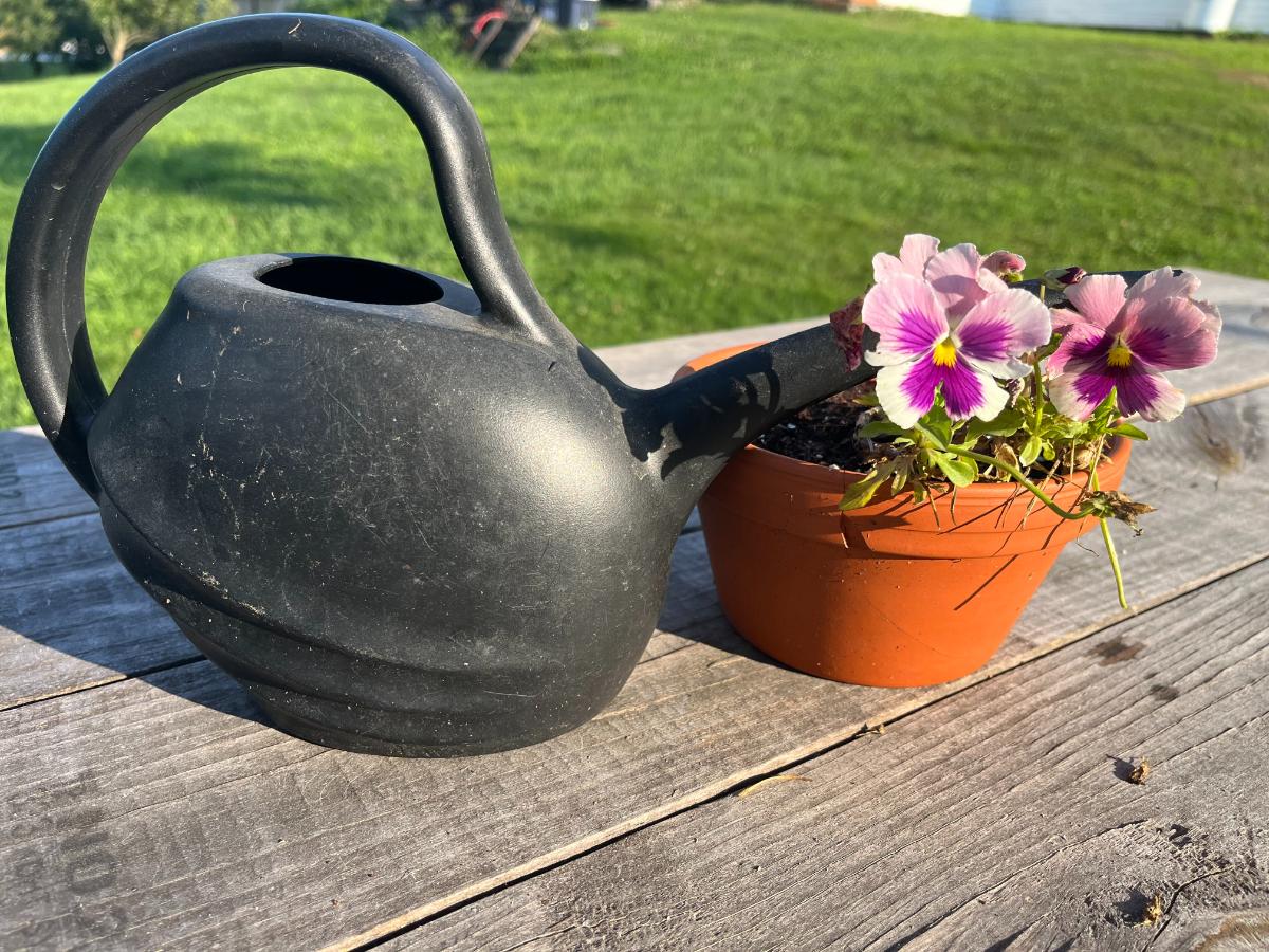 Watering can nest to a plant on a picnic table