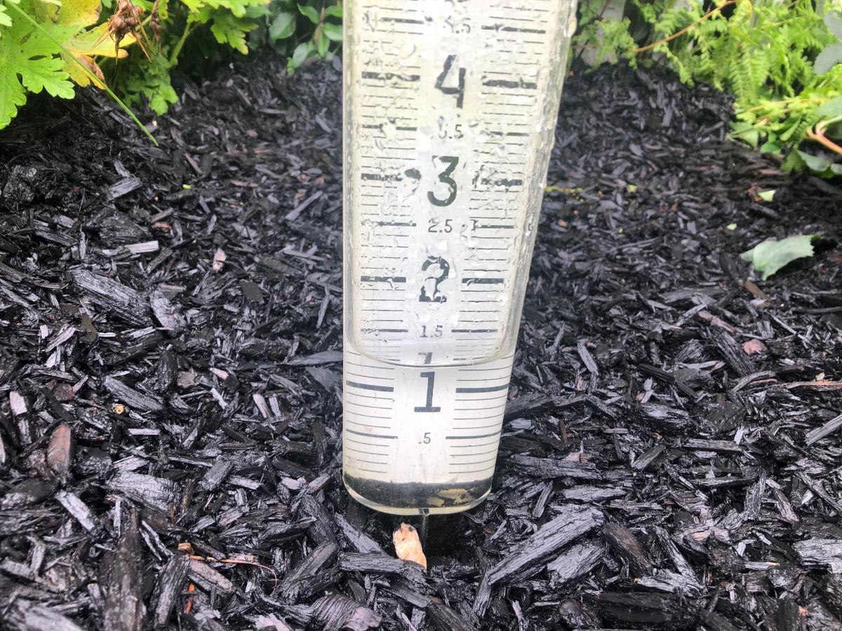 Rain gauge in a garden bed