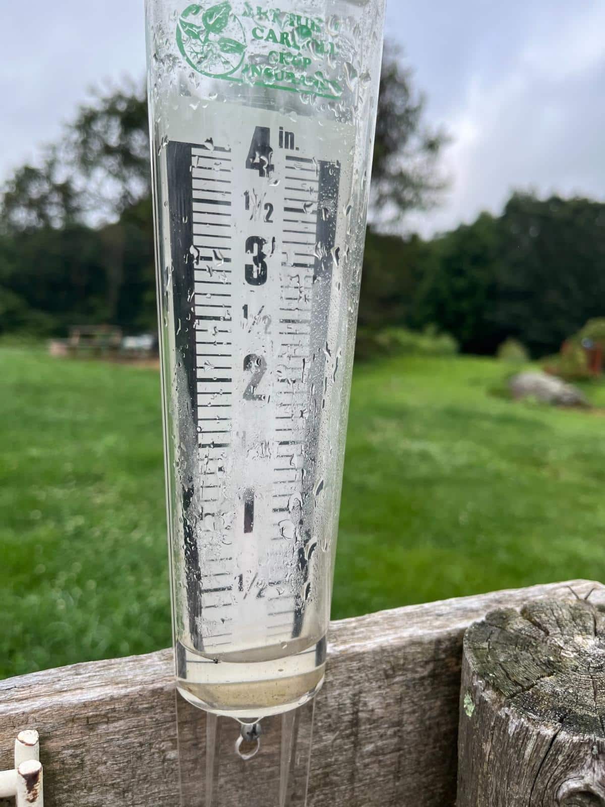 Water in a rain gauge
