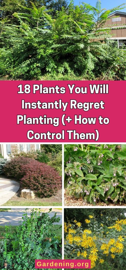 18 Plants You Will Instantly Regret Planting (+ How to Control Them) pinterest image.