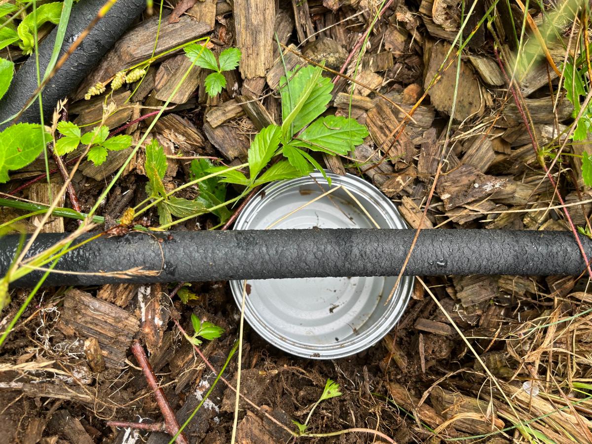 A cat food can under a soaker hose