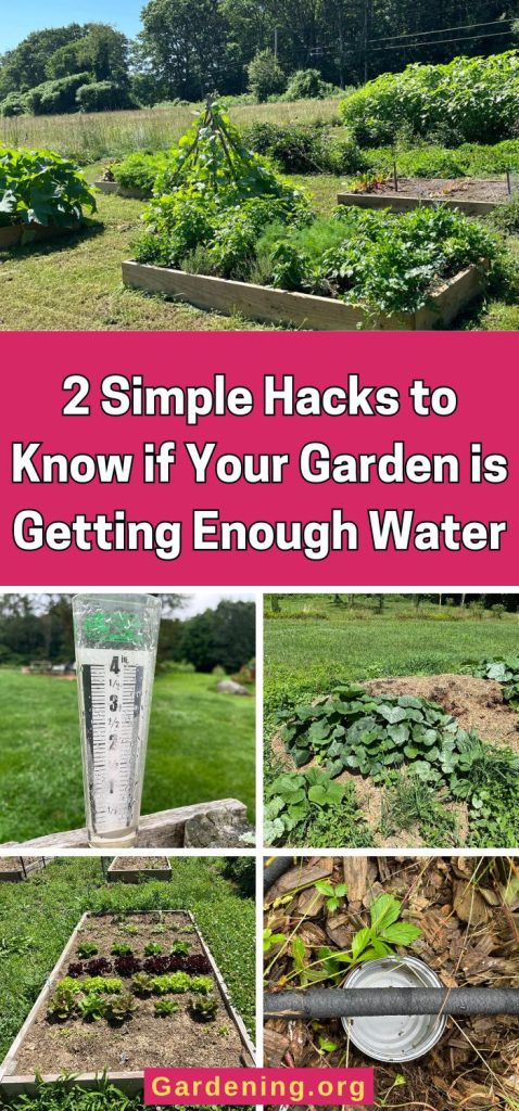 2 Simple Hacks to Know if Your Garden is Getting Enough Water pinterest image.