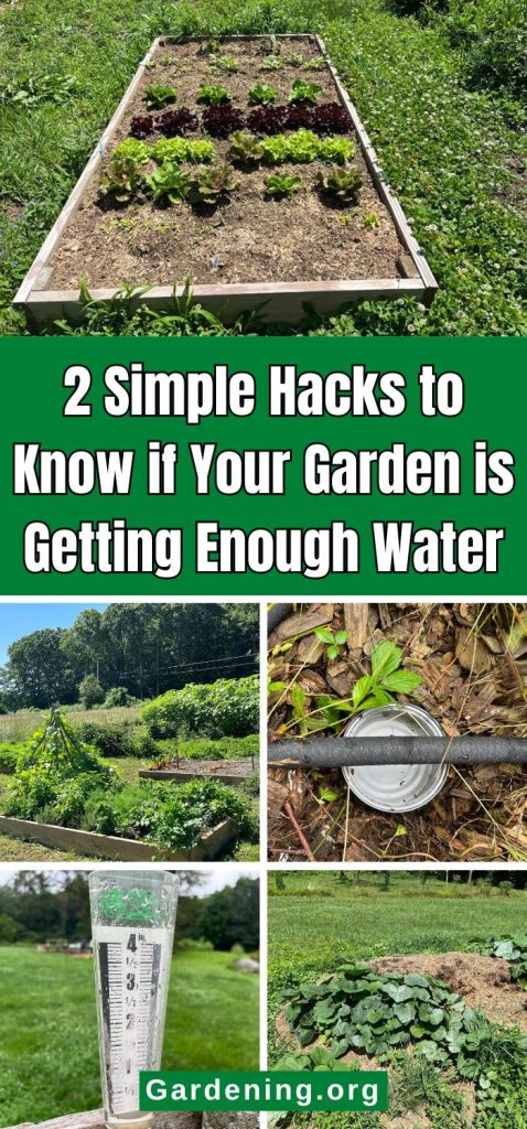 2 Simple Hacks to Know if Your Garden is Getting Enough Water pinterest image.