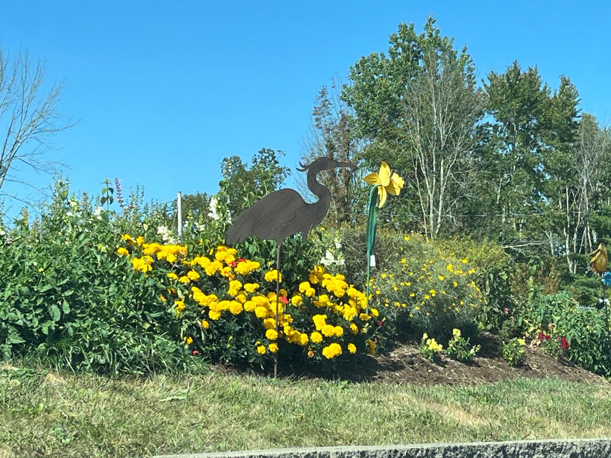 A nice perennial bed in fall