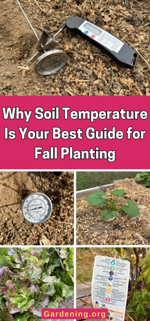 Why Soil Temperature Is Your Best Guide for Fall Planting pinterest image