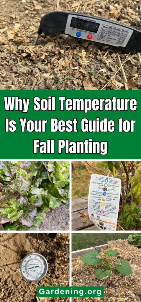 Why Soil Temperature Is Your Best Guide for Fall Planting pinterest image