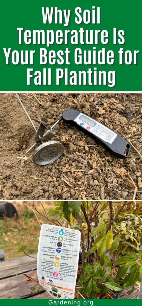 Why Soil Temperature Is Your Best Guide for Fall Planting pinterest image