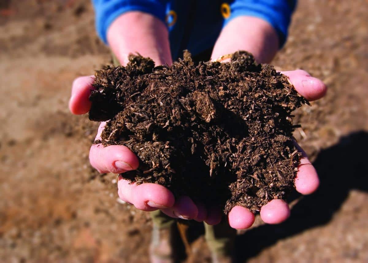 Finished compost, okay to apply in the fall