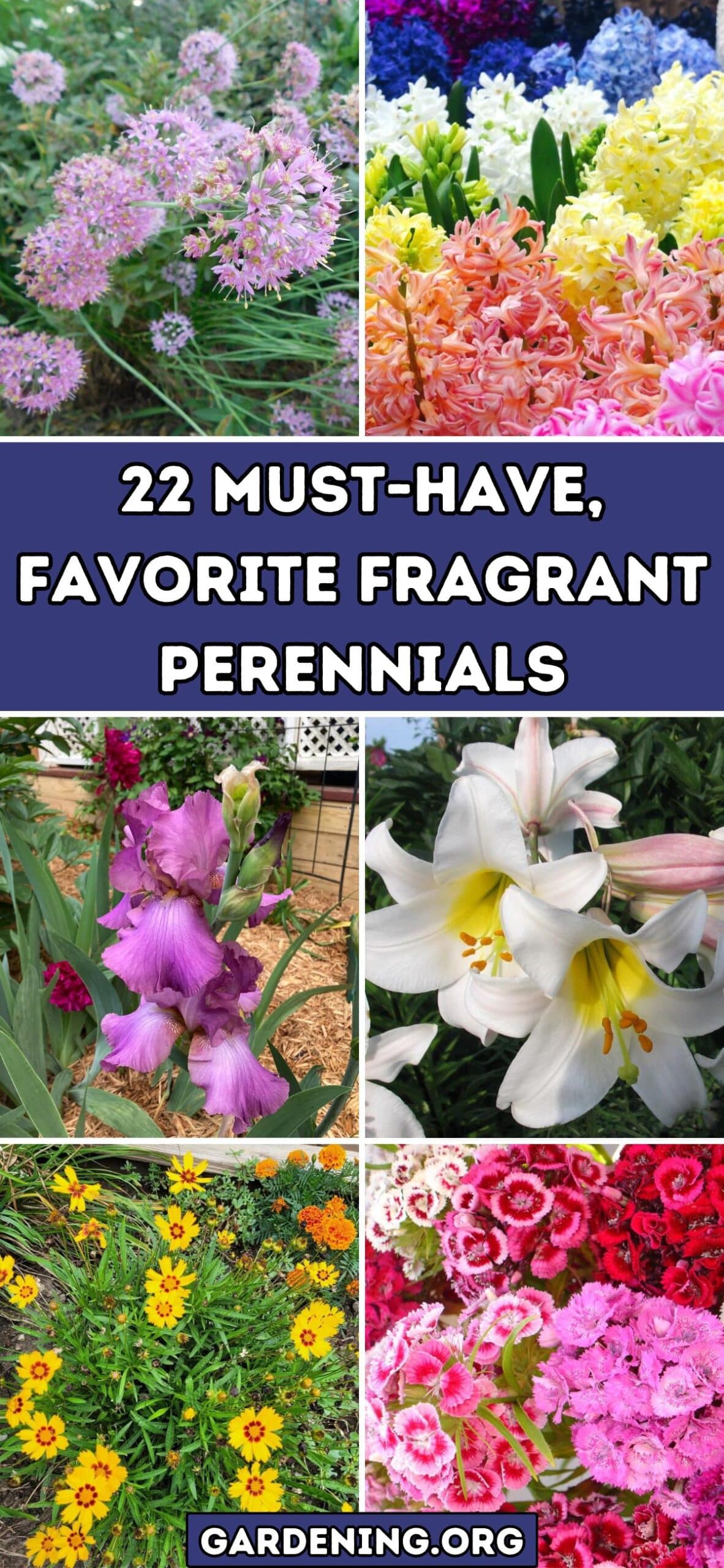 22 Must-Have, Favorite Fragrant Perennials