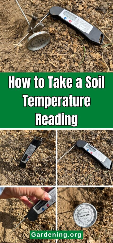 How to Take a Soil Temperature Reading pinterest image