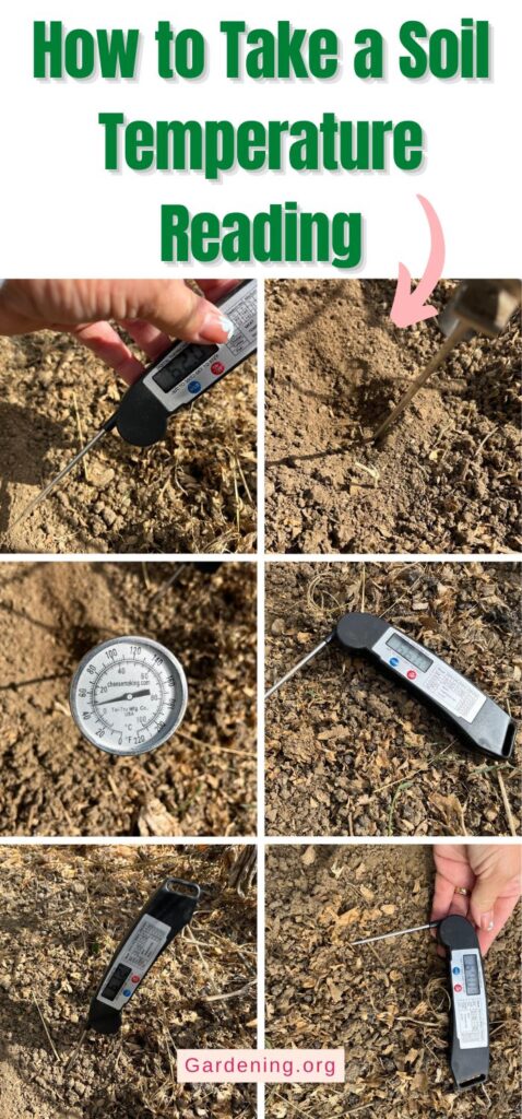 How to Take a Soil Temperature Reading pinterest image