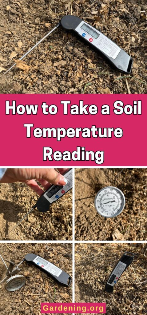 How to Take a Soil Temperature Reading pinterest image