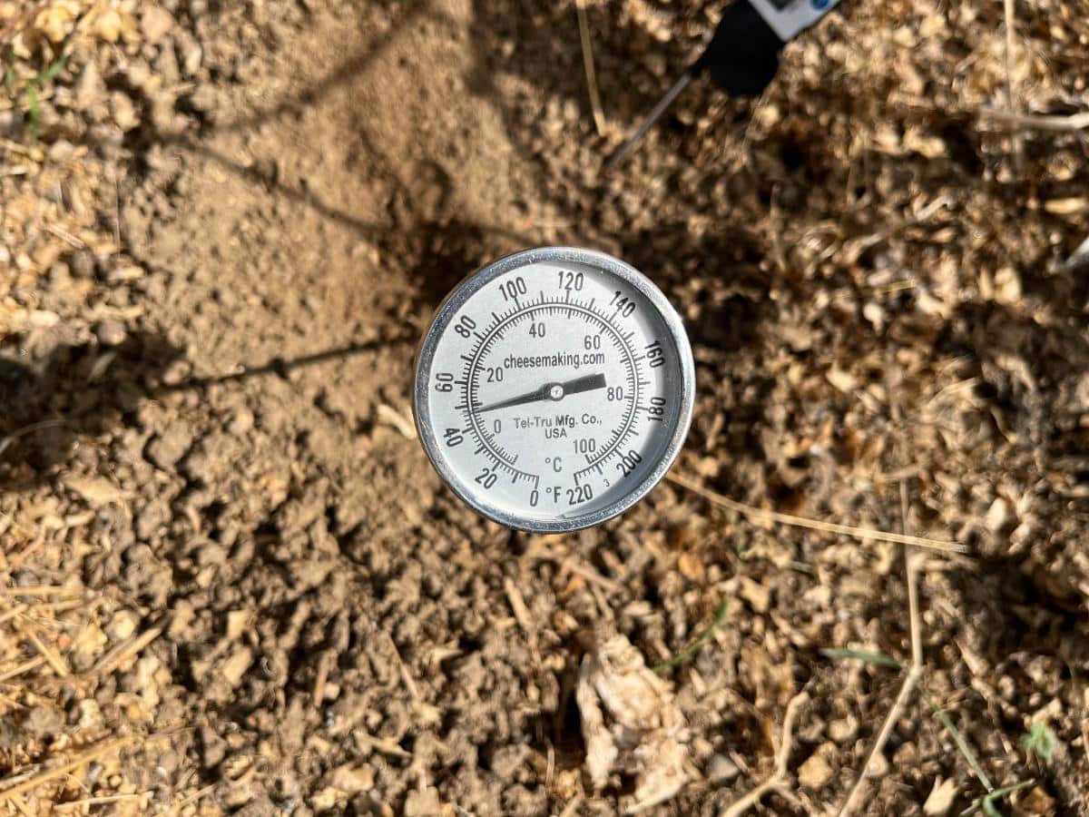 Probe thermometer measuring the temperature of the soil