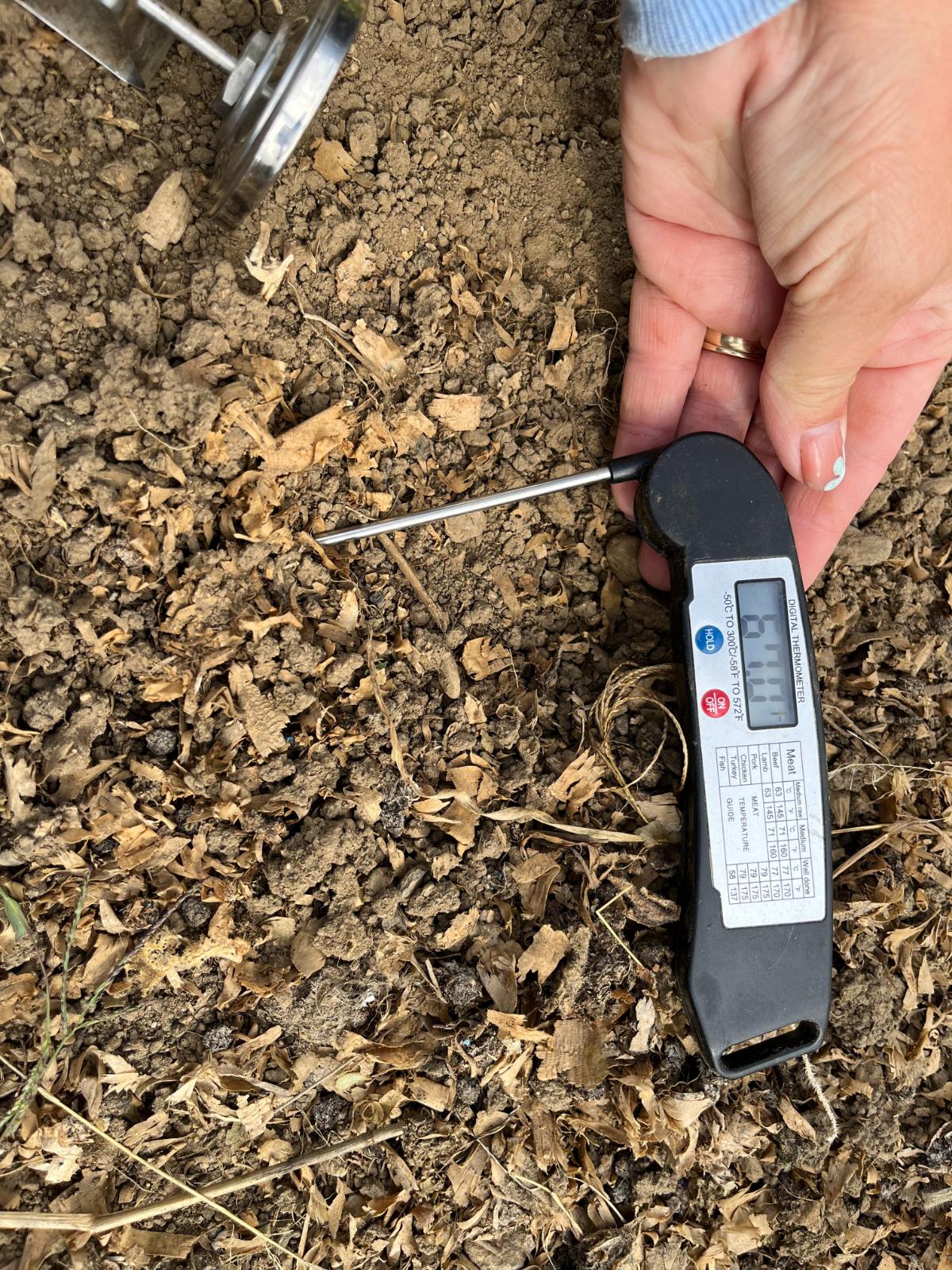 Taking a soil temperature reading