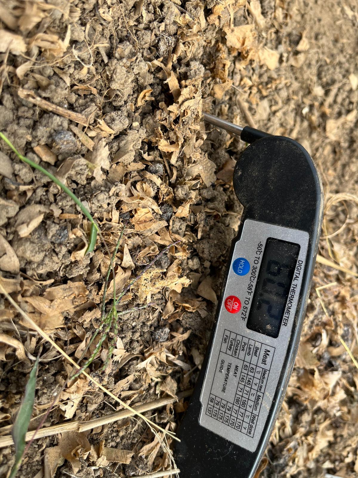 Warm soil temperature