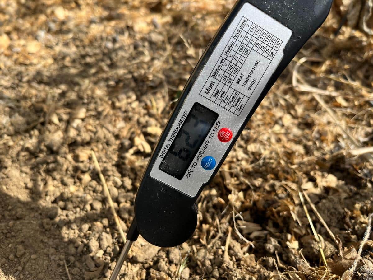 Thermometer taking a soil temperature reading