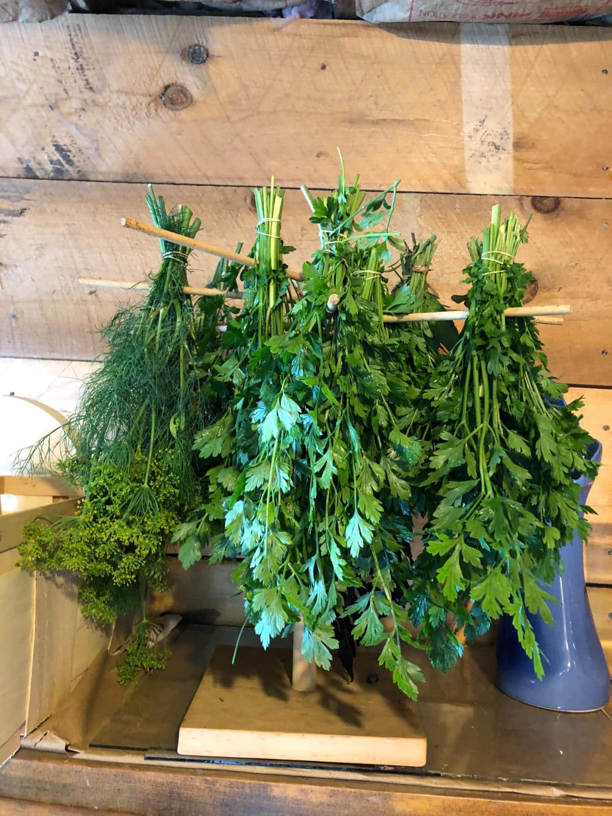 Herbs being dried